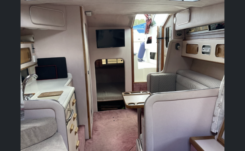 Sea Ray Sundancer 280-kuva-10